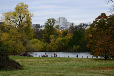 DSC_0478 (Large).JPG